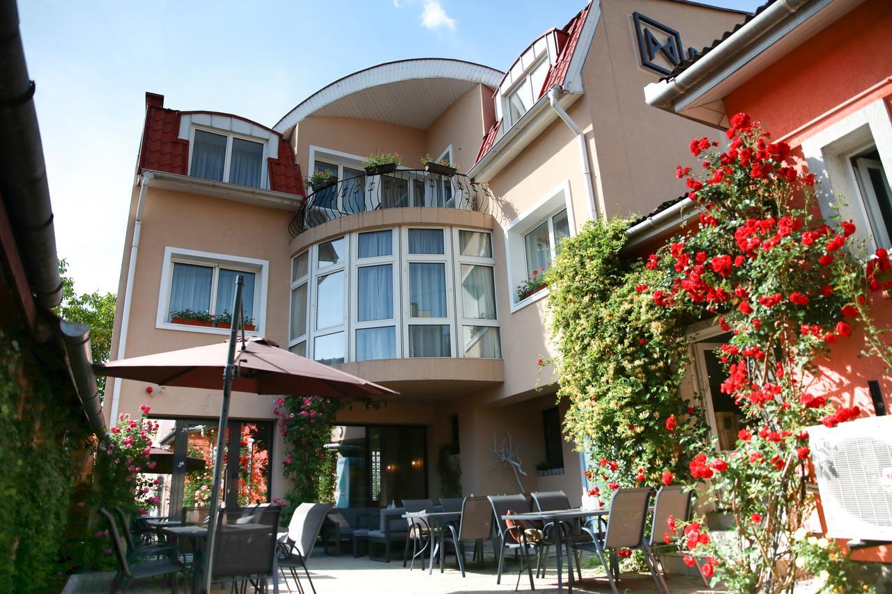 Pensiunea David Târgu-Mureş Exterior foto